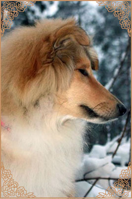 Amalie She`s In Love Amalie She`s In Love