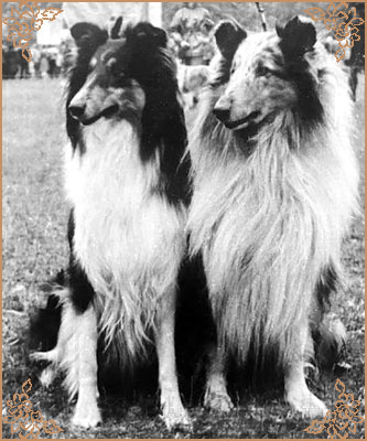 Blackmaid ze Zlate Jalny