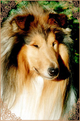 Brilyn Designer Image Brilyn Designer Image