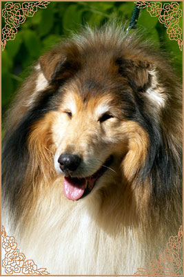 Brilyn Designer Image Brilyn Designer Image