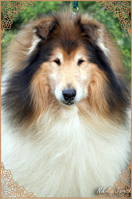 Brilyn Designer Image Brilyn Designer Image