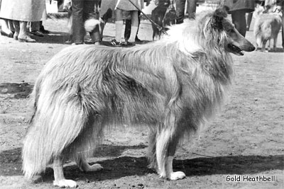 Claretta ze Zlate Jalny