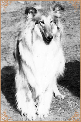 Claretta ze Zlate Jalny