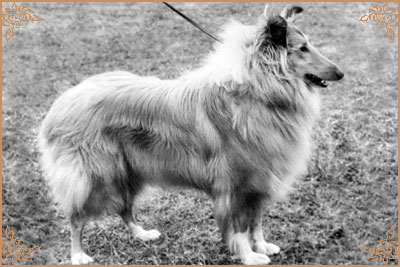 Claretta ze Zlate Jalny