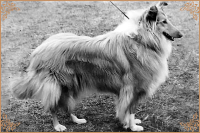 Claretta ze Zlate Jalny