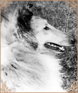 Claretta ze Zlate Jalny