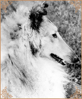 Claretta ze Zlate Jalny