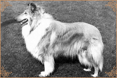 Claretta ze Zlate Jalny