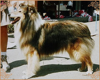 Copper van het Aards Paradijs