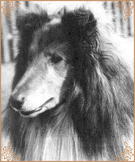 Copper van het Aards Paradijs