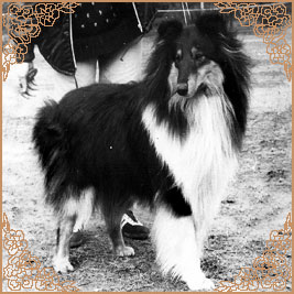 Fribyn Richard