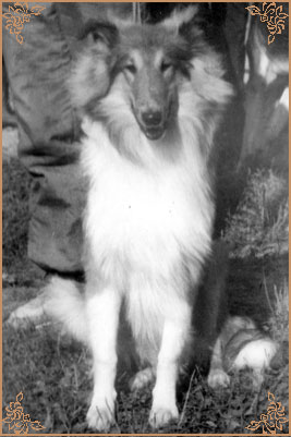 Hugo ze Zlate Tamary