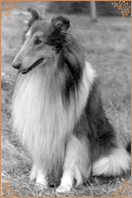 James vom Cornelia-Hof