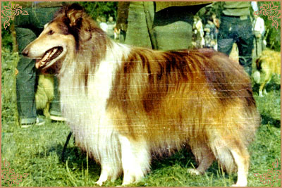 James vom Cornelia-Hof