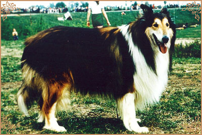 James vom Cornelia-Hof