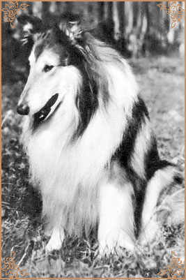 James vom Cornelia-Hof