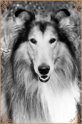 Kim vom Schloss Ramstedt