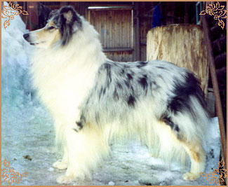 Алмазный Источник Дашенька, Almaznyi Istochnik Dashenka