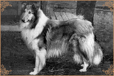 Arkle of Arcot