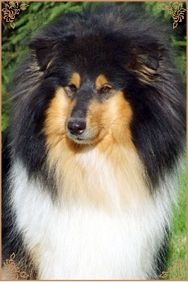Balmaya of Lowland Greens Valley