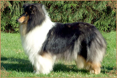 Balmaya of Lowland Greens Valley