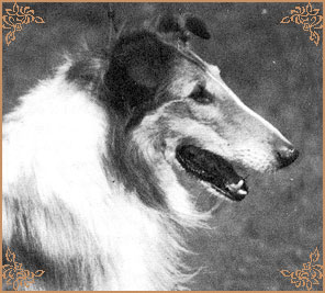 Beulah`s Golden Flambeau