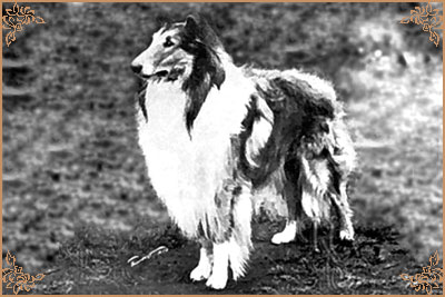 Beulah`s Golden Futureson