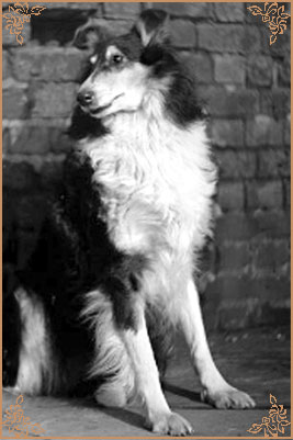 Beulah`s Nightglamorous