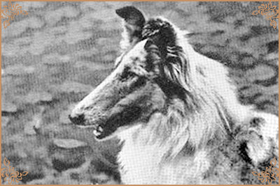 Beulah`s Silver Mantilla