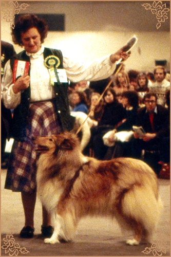 Bhyllsacre Querida Mia, Crufts Winners