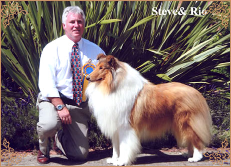 Brooklynson From Rio, Crufts Winners