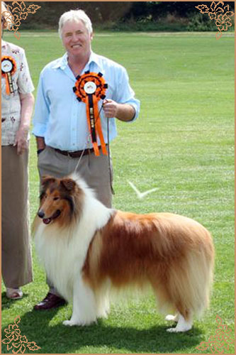 Brooklynson From Rio, Crufts Winners