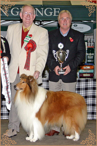 Brooklynson From Rio, Crufts Winners