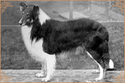 Bruce of Waldemar