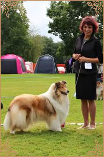 Chelborn Desirable, Crufts Winners