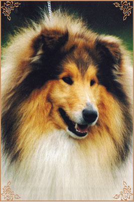 Chrisarion Cromwell, Crufts Winners