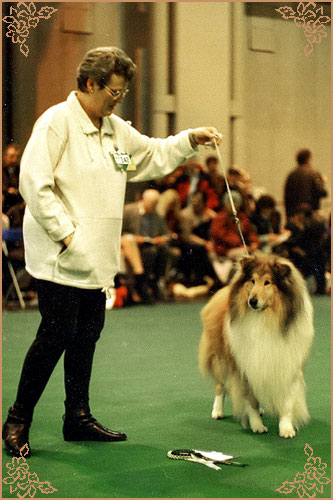 Chrisarion Cromwell, Crufts Winners