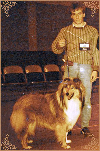 Coldamar Wor Geordie, Crufts Winners