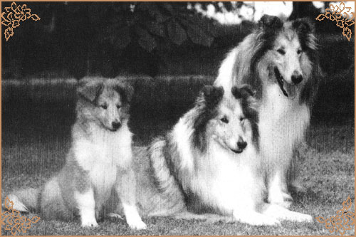 Corydon Gold Delilah Corydon Gold Delilah