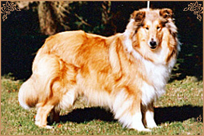Corydon Gold Delilah Corydon Gold Delilah