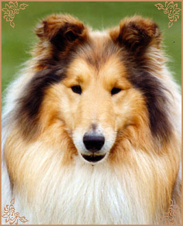 Corydon Gold Delilah Corydon Gold Delilah