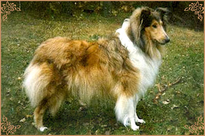 Corydon Rosie O`Grady