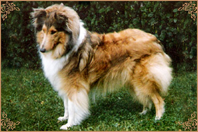 Corydon Rosie O`Grady