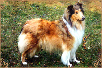 Corydon Rosie O`Grady