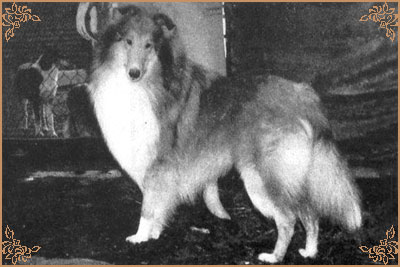 Danvis Diavollo