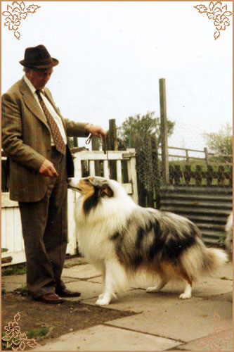 Danvis Ladyvale Blue Macade, Crufts Winners