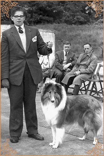 Debonair of Glenmist