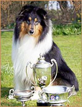 Demelewis Dark Moon Driftin over Corydon, Crufts Winners