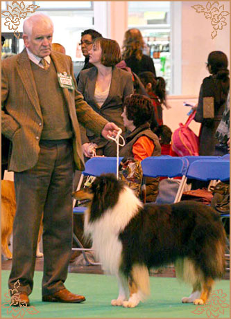 Demelewis Dark Moon Driftin over Corydon, Crufts Winners