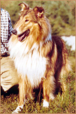 Domingo of Dunsinane